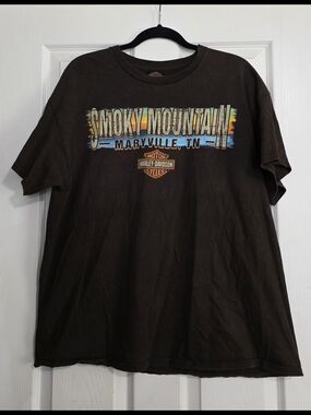 Smoky Mountain Harley-Davidson Graphic Tee - Brown